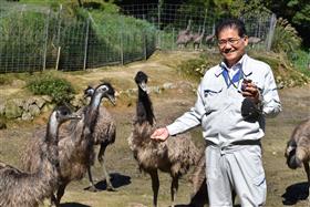 エミュー圃場(きやまファーム)