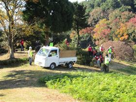 作業中(植林の地)