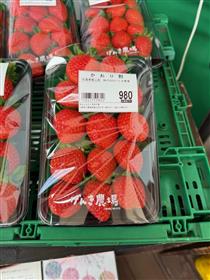 イチゴ1（げんき農場）