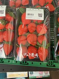 イチゴ2（げんき農場）