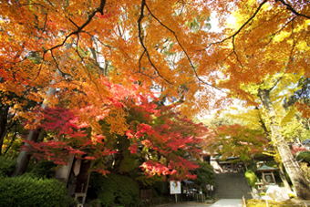 大興善寺2