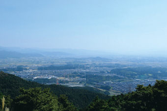 基山の草スキー2