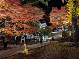 恋人の聖地再興事業