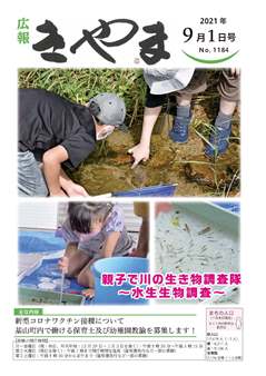 親子で川の生き物調査隊の写真