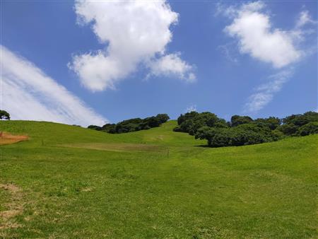 基山山頂