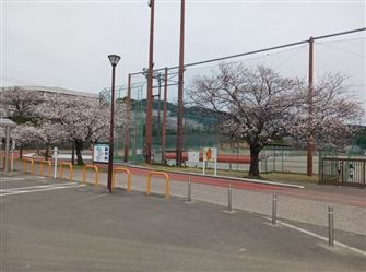 公園