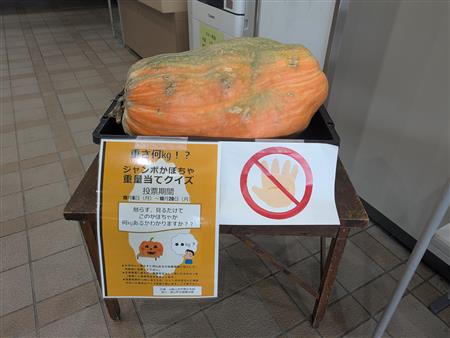 かぼちゃ